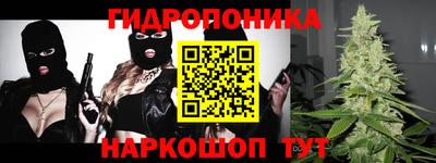 индика Заводоуковск